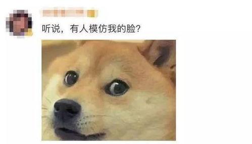 微信吃瓜表情包的使用场景