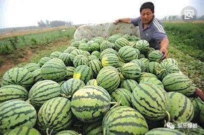 娱乐圈吃瓜是什么