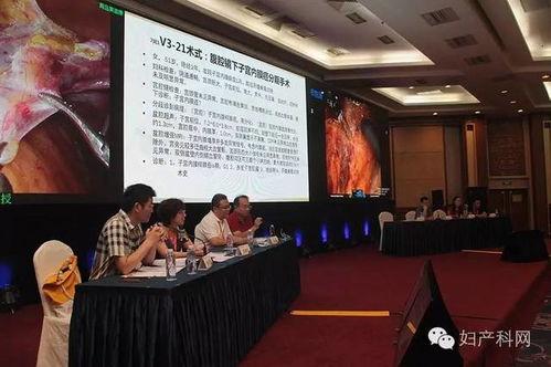 吃瓜论坛骄阳似火,吃瓜论坛热议焦点揭秘