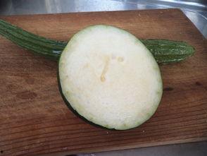 娱乐吃瓜酱美玉