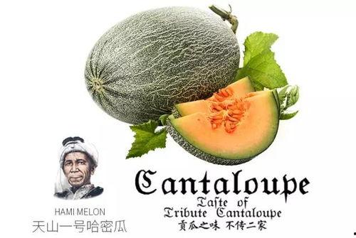 娱乐吃瓜号背景,吃瓜号背后的真相大揭秘