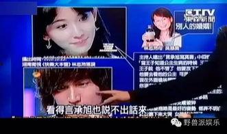 娱乐吃瓜蜀黍广告视频在线观看